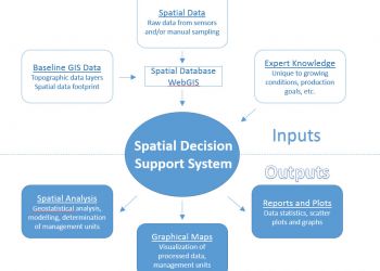 SDSS Model